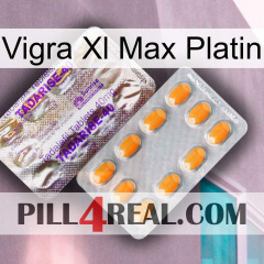 Vigra Xl Max Platinum new12